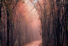 巴尔韦德：巴萨的前场压迫很强，上次输球难以入睡.