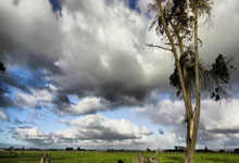 10分11助攻 赵继伟超越郭艾伦加冕本土助攻王.