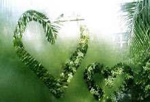 隆戈：律师正在处理莫塔下课手续，预计几个小时内完成.