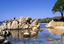 弗拉格杯的争夺日趋白热化盘点摆烂神器：真的菜还是演技好？.